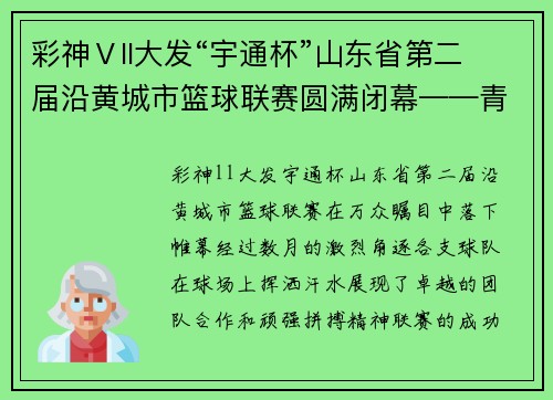 彩神Ⅴll大发“宇通杯”山东省第二届沿黄城市篮球联赛圆满闭幕——青春与激情的完美碰撞 - 副本
