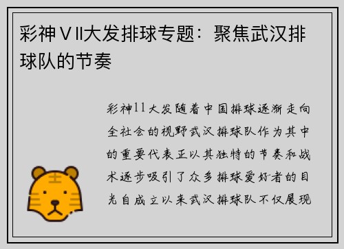 彩神Ⅴll大发排球专题：聚焦武汉排球队的节奏