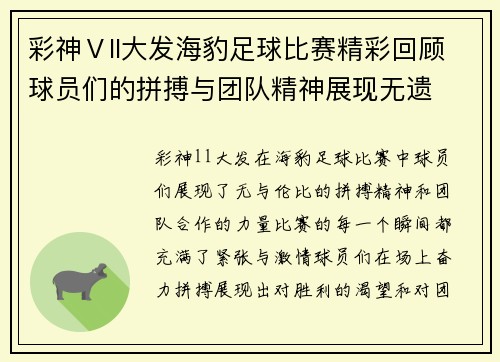 彩神Ⅴll大发海豹足球比赛精彩回顾球员们的拼搏与团队精神展现无遗